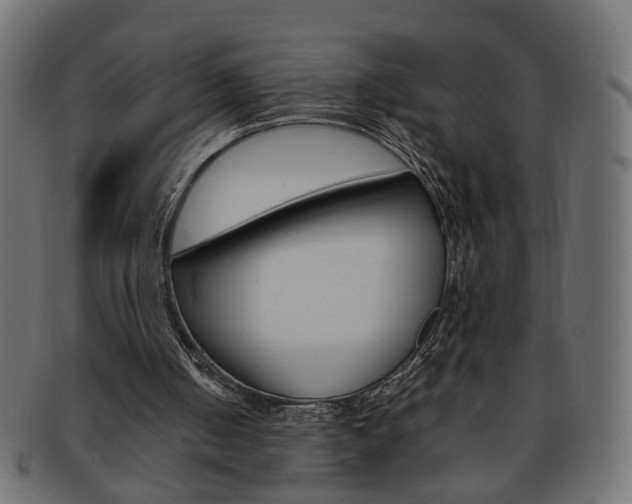 X0000094080050200710190927