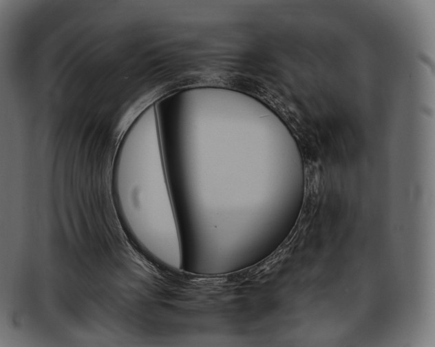 X0000094080051200710190927