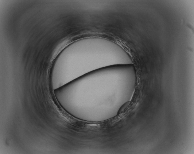 X0000094080053200710190927