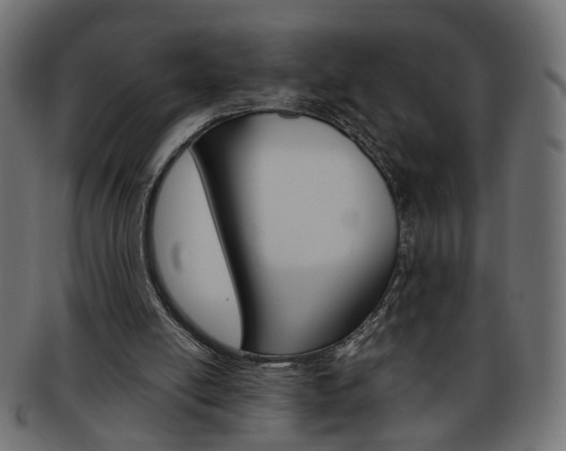 X0000094080054200710190927