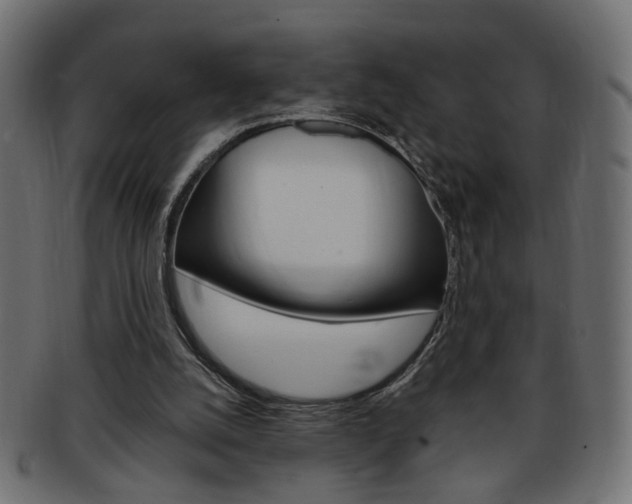 X0000094080056200710190927