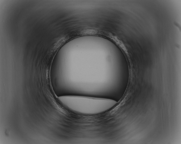 X0000094080057200710190927