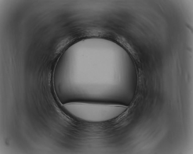 X0000094080058200710190927