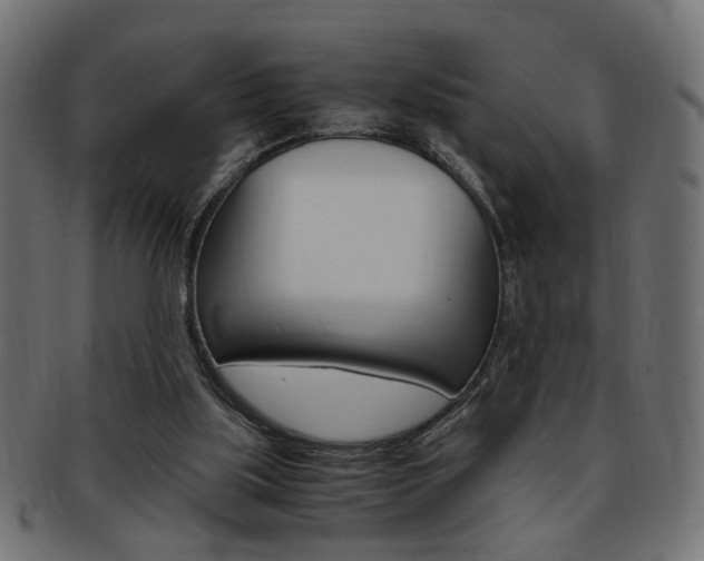 X0000094080059200710190927