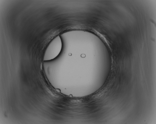 X0000094080061200710190927