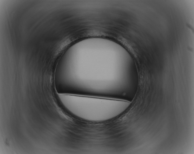 X0000094080063200710190927