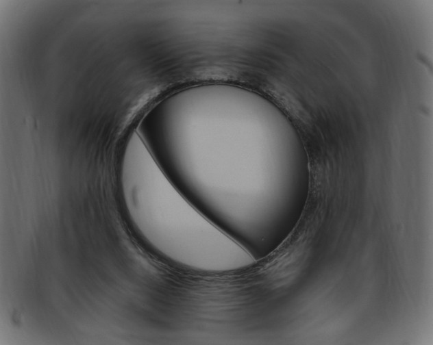 X0000094080064200710190927