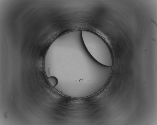 X0000094080065200710190927