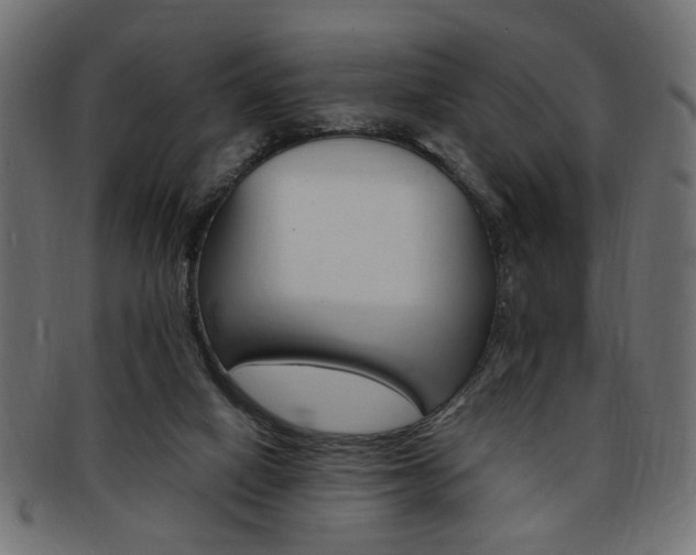 X0000094080066200710190927