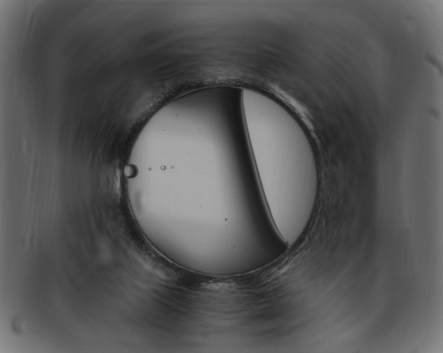 X0000094080067200710190927