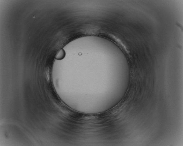 X0000094080069200710190927