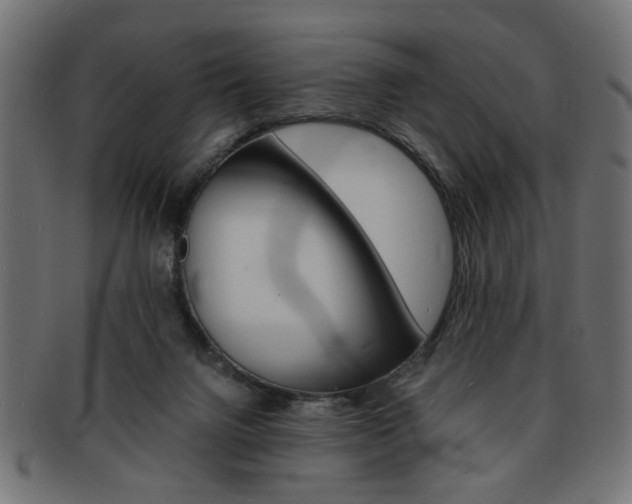 X0000094080072200710190927