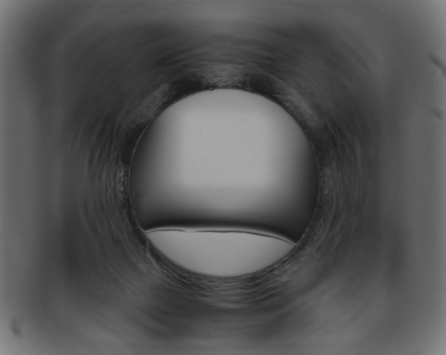 X0000094080073200710190927