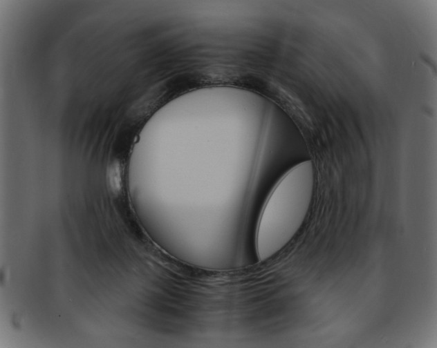 X0000094080075200710190927