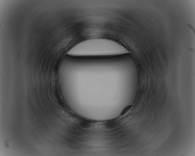 X0000094080078200710190927