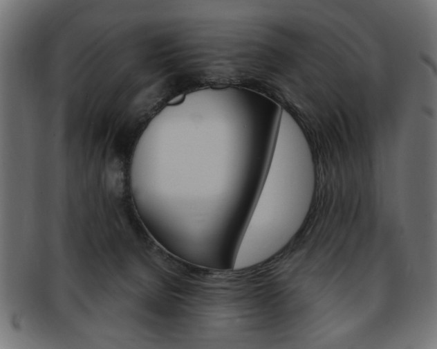 X0000094080080200710190927