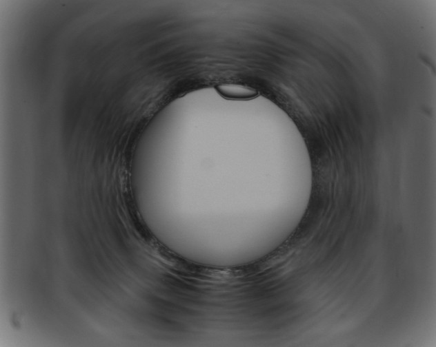 X0000094080083200710190927