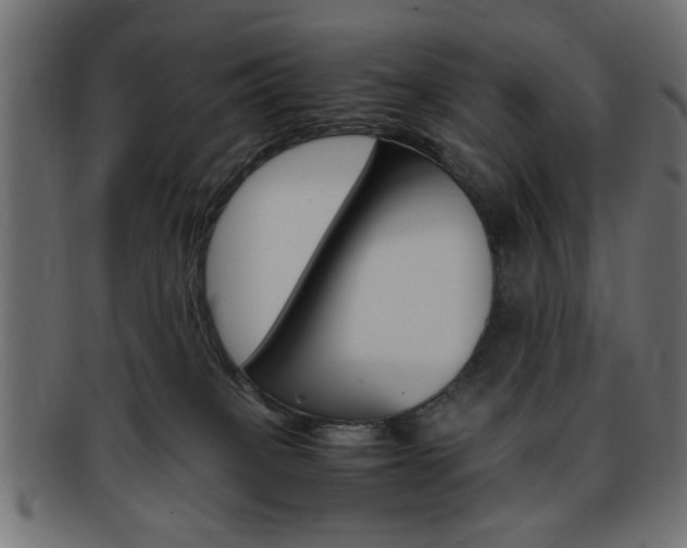 X0000094080085200710190927