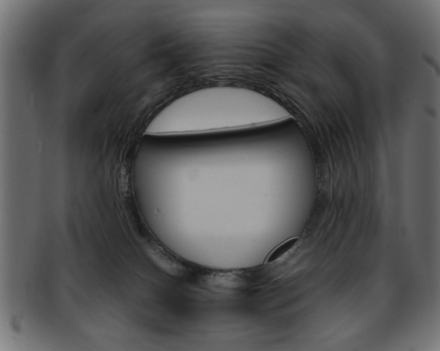 X0000094080086200710190927