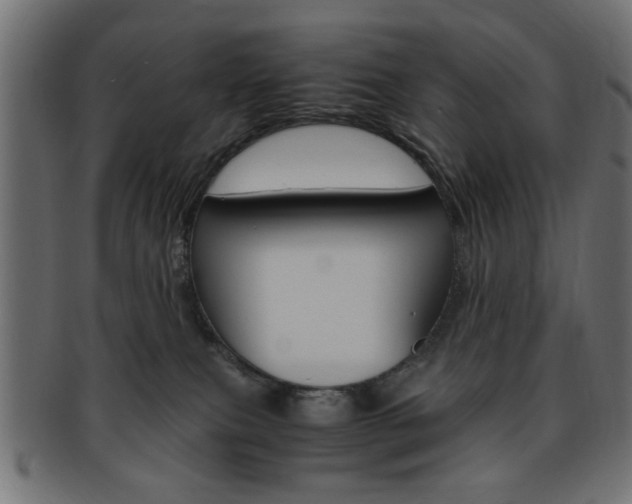 X0000094080087200710190927