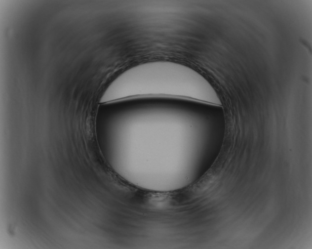 X0000094080088200710190927