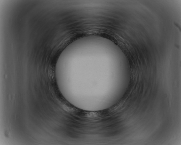 X0000094080091200710190927