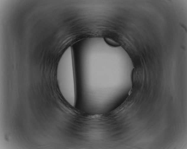 X0000094080092200710190927