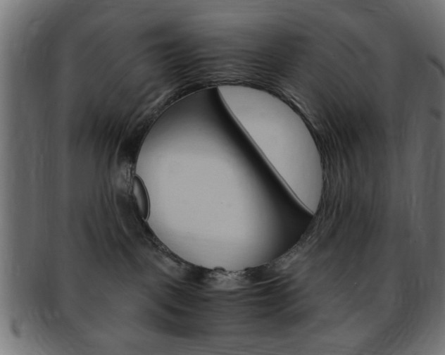 X0000094080093200710190927