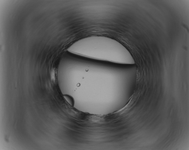 X0000094080094200710190927