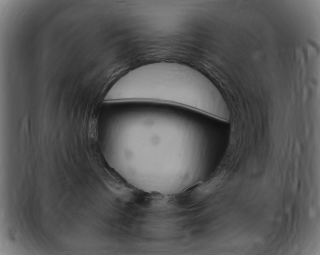 X0000094080096200710190927