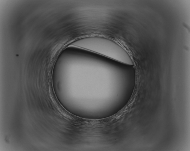 X0000094080097200710190927