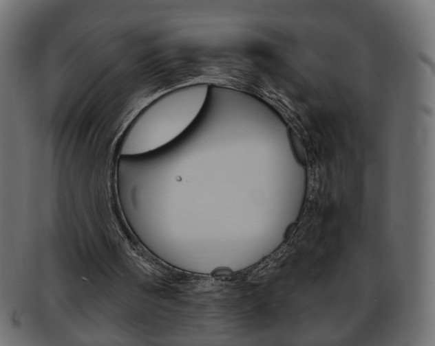 X0000094080098200710190927