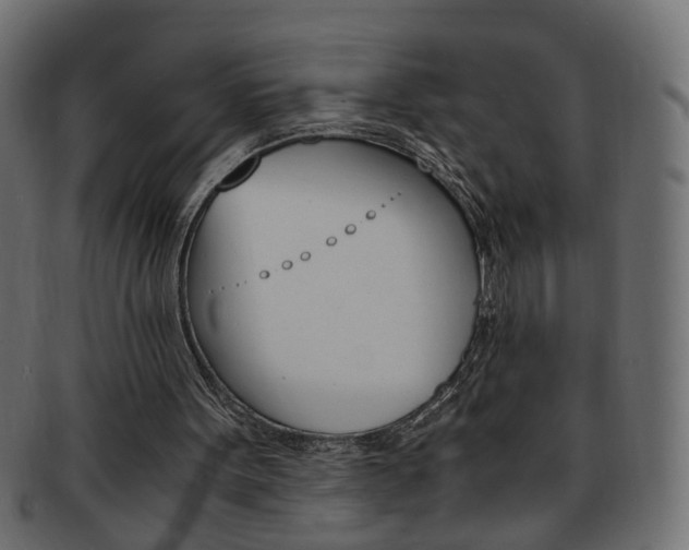 X0000094080099200710190927