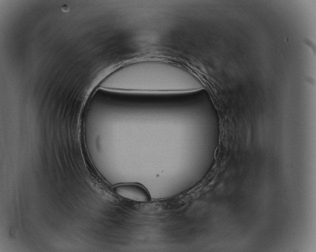 X0000094080100200710190927