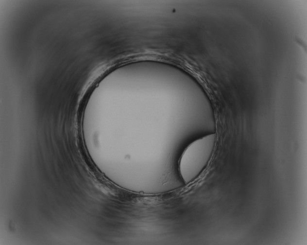 X0000094080102200710190927