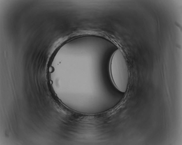 X0000094080104200710190927