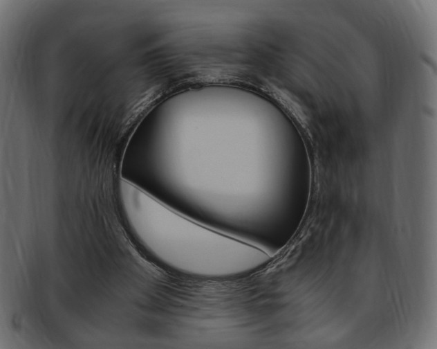 X0000094080105200710190927