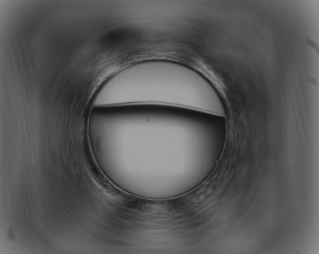 X0000094080107200710190927