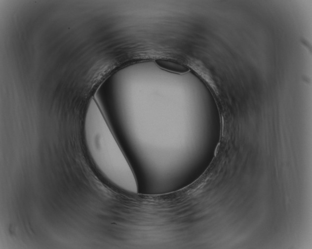 X0000094080109200710190927