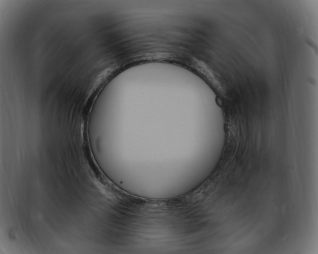 X0000094080110200710190927