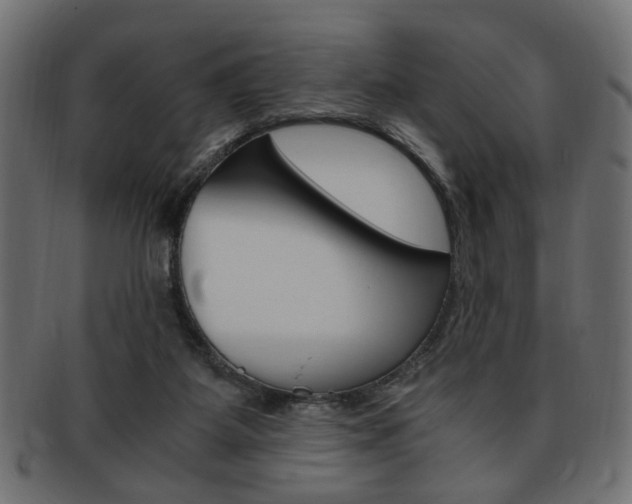 X0000094080115200710190927