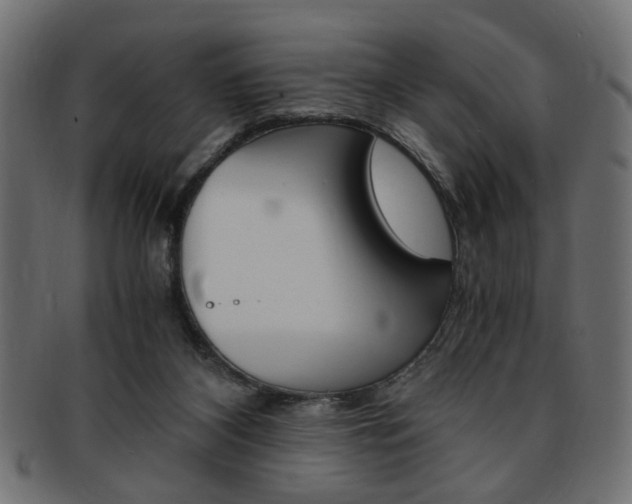 X0000094080116200710190927