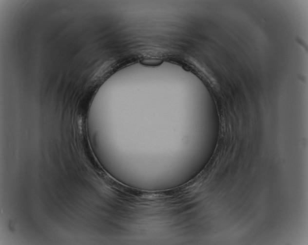 X0000094080117200710190927