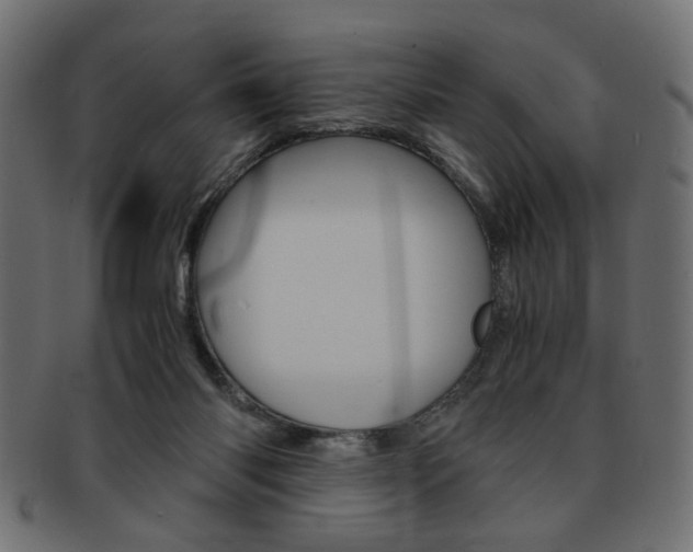 X0000094080118200710190926