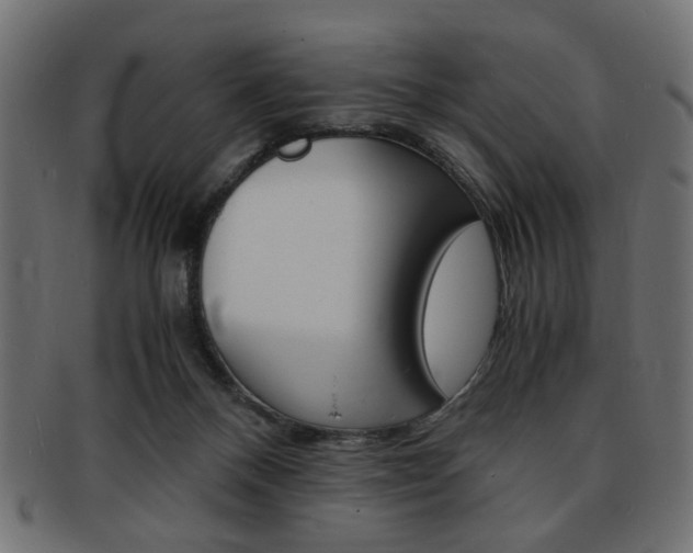 X0000094080120200710190926