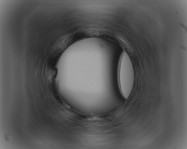 X0000094080125200710190926