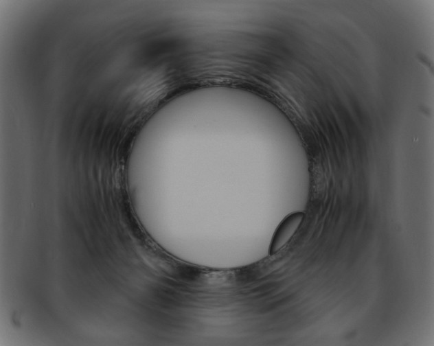 X0000094080126200710190926