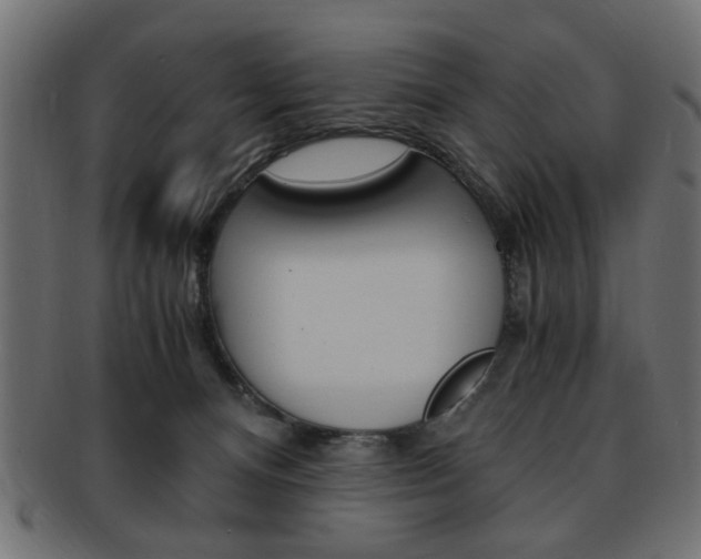 X0000094080128200710190926