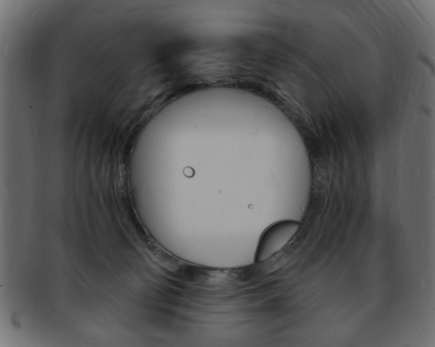 X0000094080130200710190926