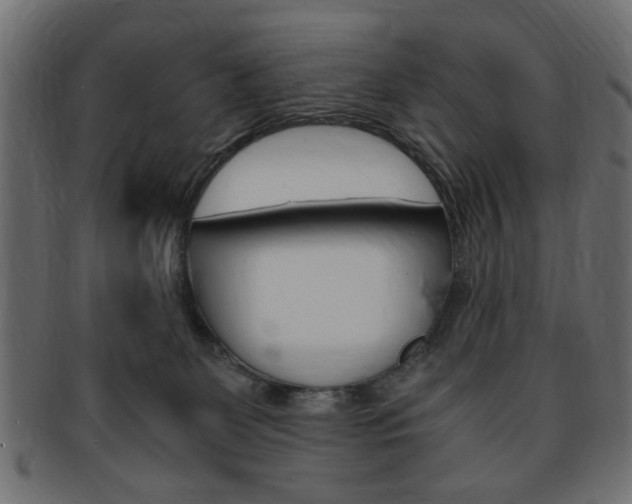 X0000094080131200710190926